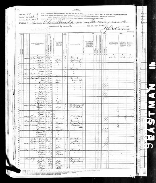Elsie Stuart — 1880 Census, Charlotte